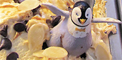 Penguin & ice cream - 800 x 40