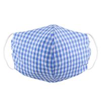 facemask-gingham