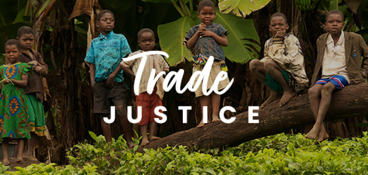 TC-trade1