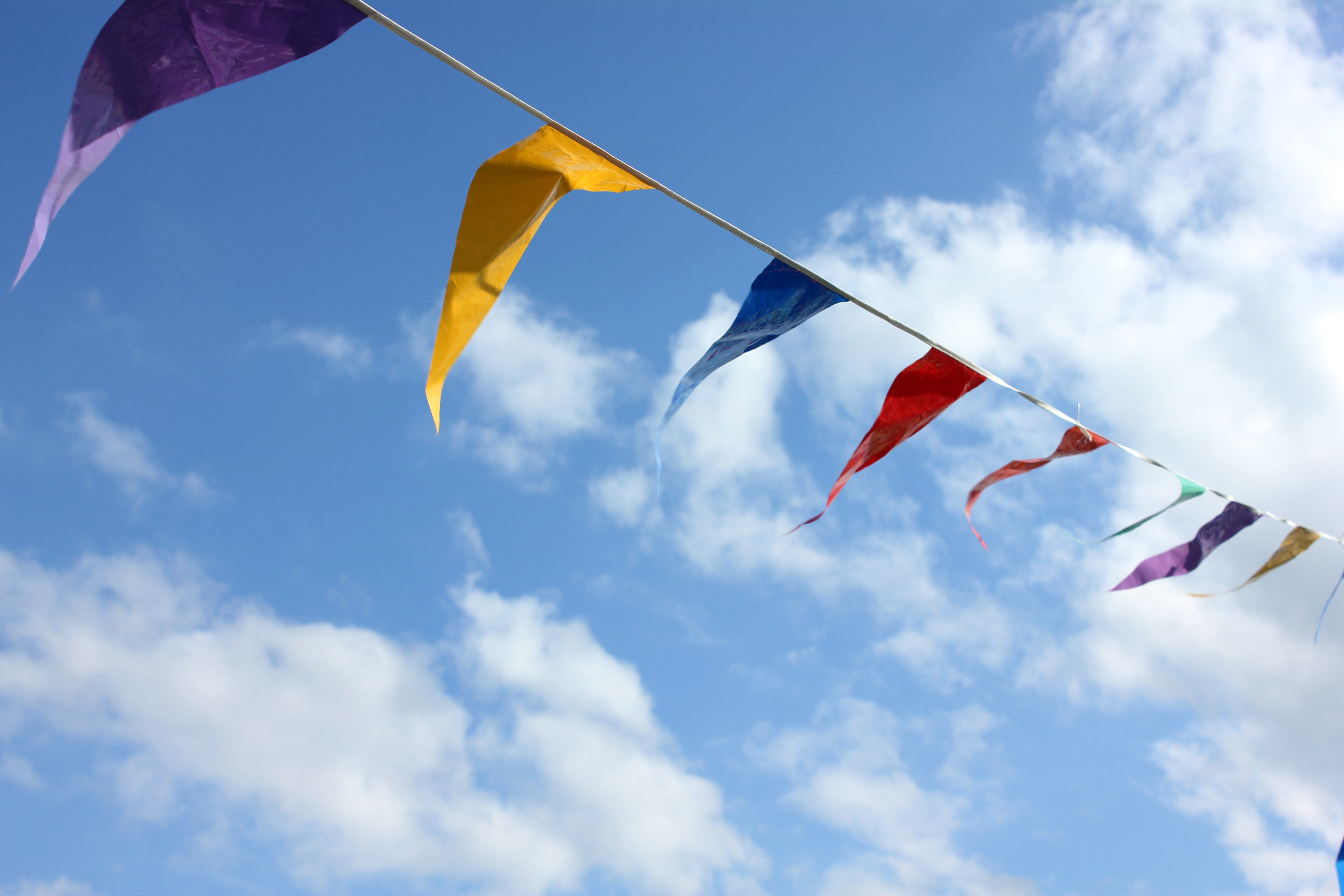 Bunting